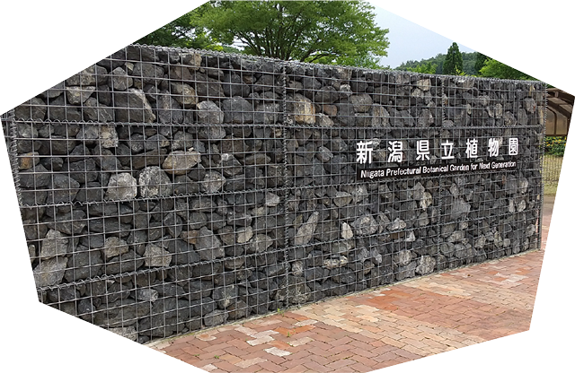 自社採石場から原石を採掘して、自社プラントで各種骨材製品を作ります